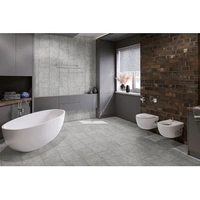 Кварцевая SPC плитка DAMY FLOOR ASCENT 125-2 Броуд-Пик