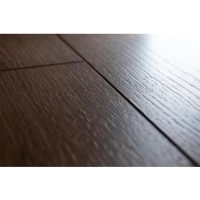 Ламинат Kastamonu Sunfloor Дуб Альгамбра SF105