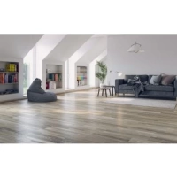 Линолеум Tarkett Gladiator Muskat  9