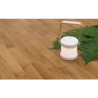 Линолеум Tarkett Gladiator Formosa 3