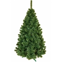 Ель Горная 2,0 М.