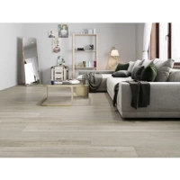 Виниловый пол Alta Step Excelente SPC 6613 Дуб Платиновый