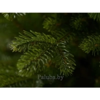 Ель Аляска Тёмная 1.5 М