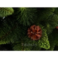 Сосна Хрустальная Зеленая 2.5 м