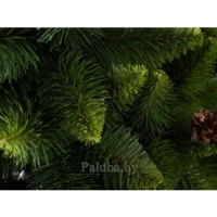 Сосна Хрустальная Зеленая 2.5 м