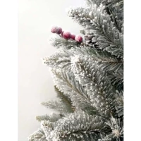 Ель Ариозо 1.5 М