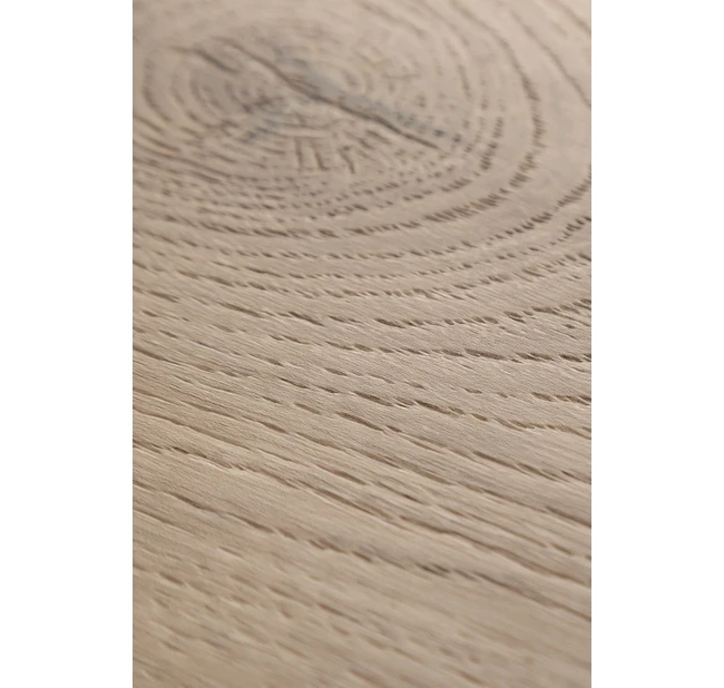 SPC ламинат FirstFloor Сибирский натуральный дуб 1F029 SPC ламинат FirstFloor Сибирский натуральный дуб 1F029