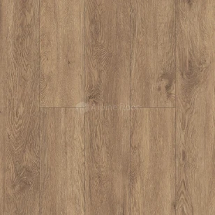 SPC ламинат Alpine Floor Grand Sequoia Superior ABA Гевуина ECO 11-703