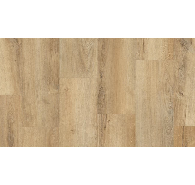 Виниловый пол Tarkett Funky House Bob Виниловый пол Tarkett Funky House Bob