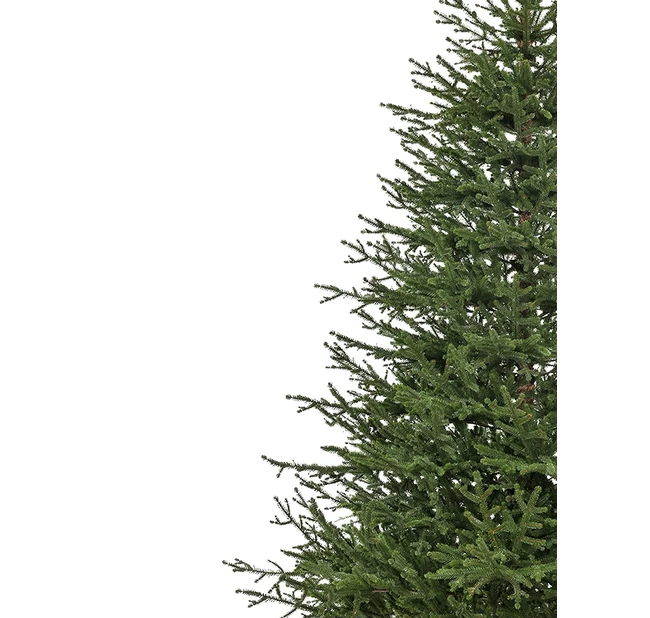 Ель искусственная Вилтони 1,5 м Ель искусственная Вилтони 1,5 м