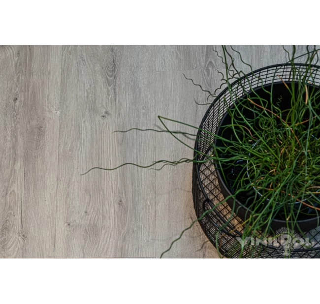 SPC Ламинат Vinilam VinilPol Click Дуб Неаполь 7897-EIR SPC Ламинат Vinilam VinilPol Click Дуб Неаполь 7897-EIR
