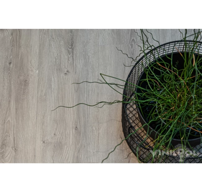 Виниловый ламинат VinilPol 7897 EIR Дуб Неаполь Glue Виниловый ламинат VinilPol 7897 EIR Дуб Неаполь Glue