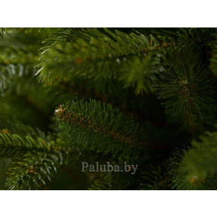 Ель Аляска Тёмная 1.8 М