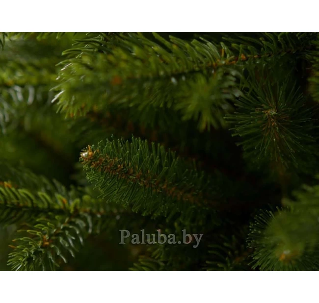 Ель Аляска Тёмная 2.2 М Ель Аляска Тёмная 2.2 М
