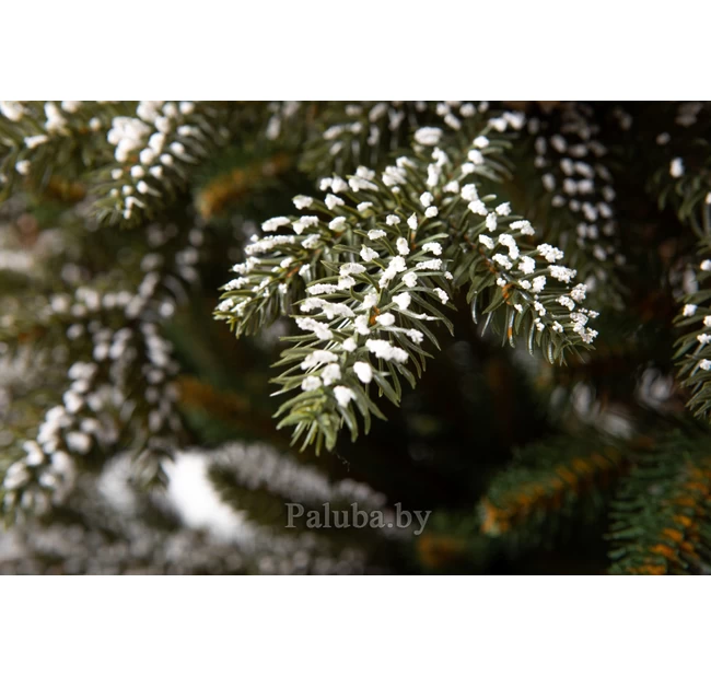 Ель Квебек 1.8 М Ель Квебек 1.8 М