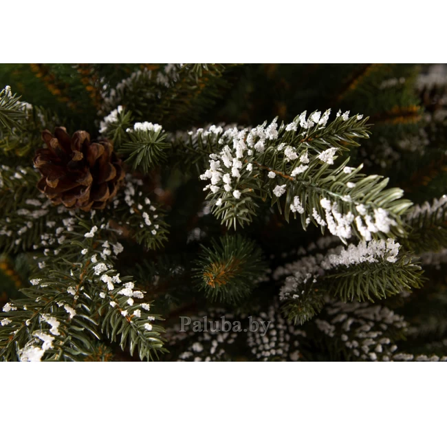 Ель Квебек 1.8 М Ель Квебек 1.8 М