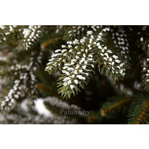 Ель Квебек 1.8 М