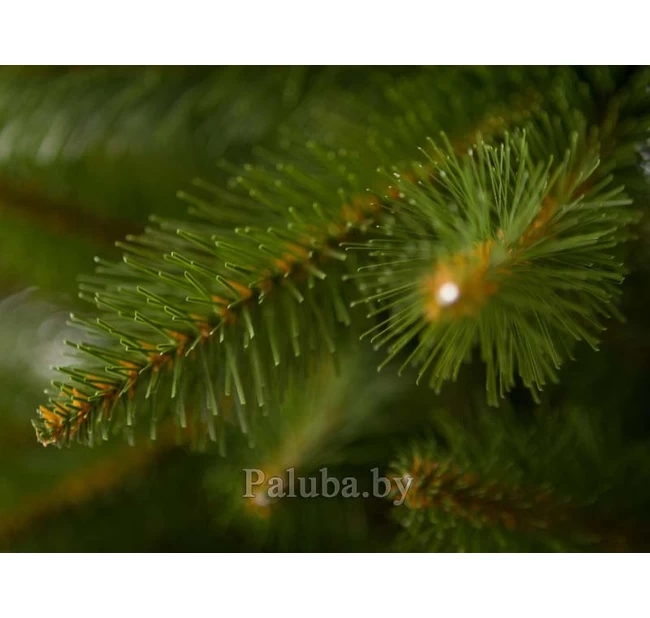 Ель Greenterra Бовари 2.2 М Ель Greenterra Бовари 2.2 М