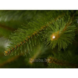 Ель Greenterra Бовари 2.5 М