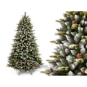 Сосна Швейцария 2.2 м