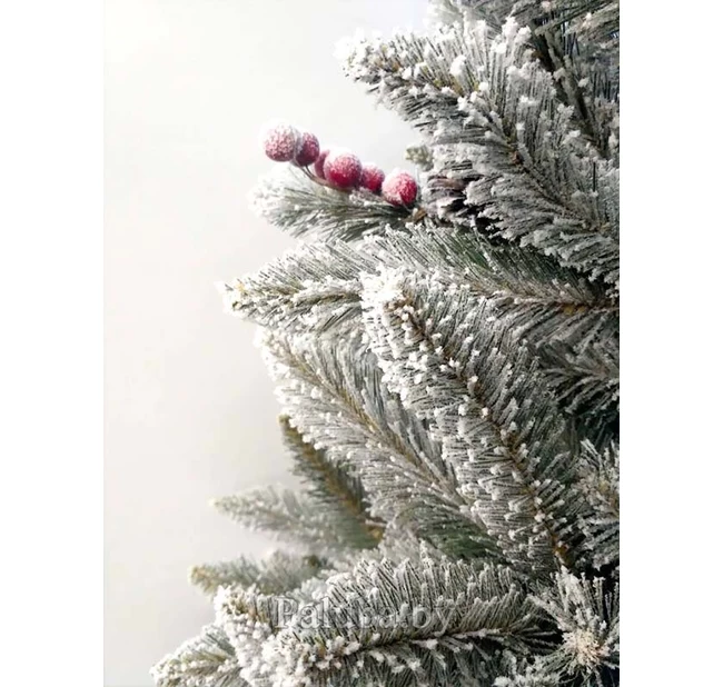 Ель Ариозо 1.5 М Ель Ариозо 1.5 М