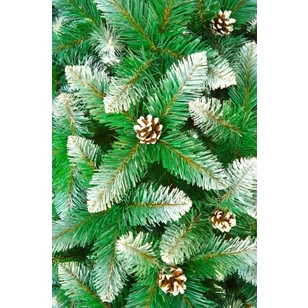 Ель Таежная C Шишками 2,2 Метра